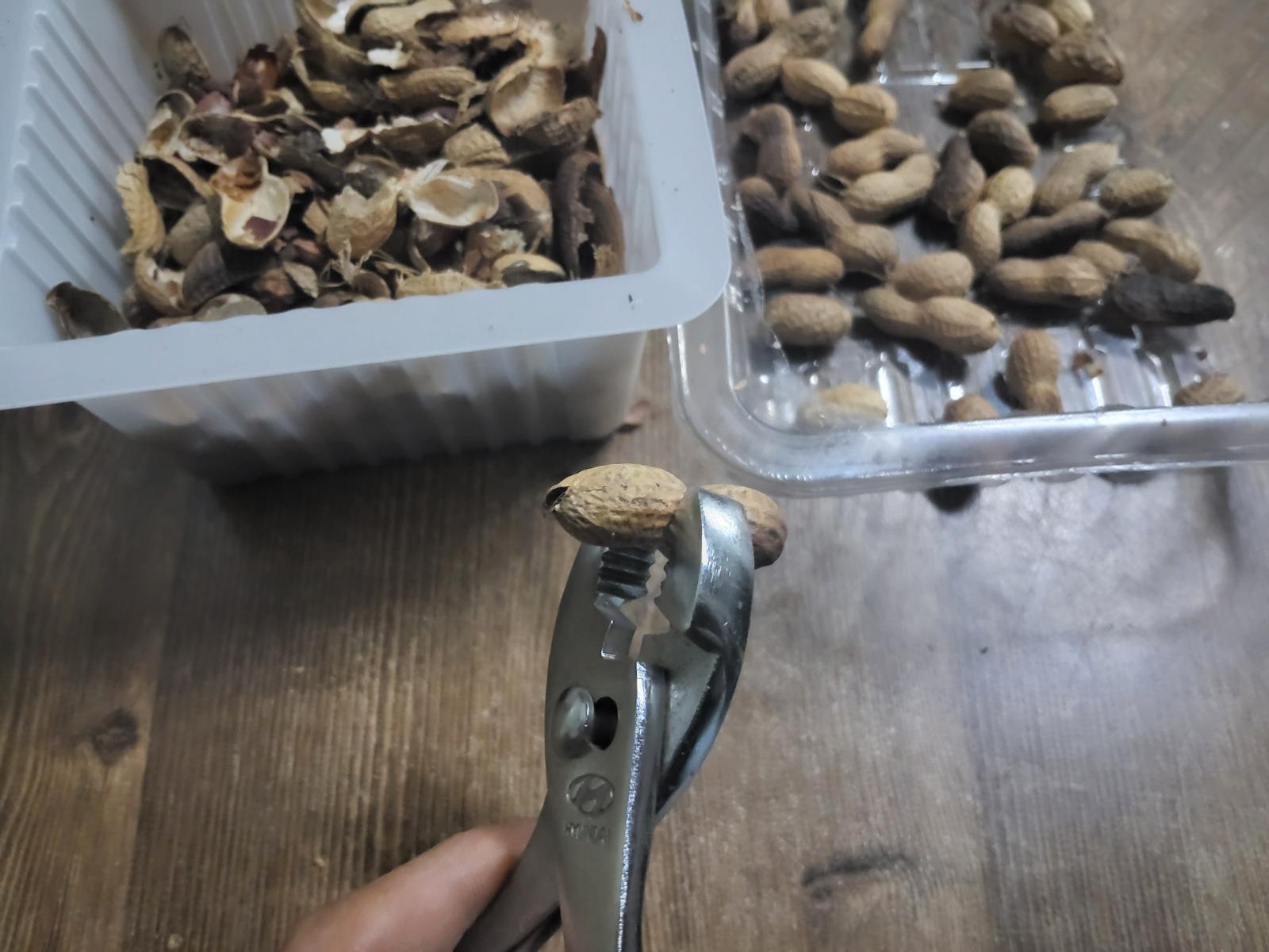 1000023615.jpg