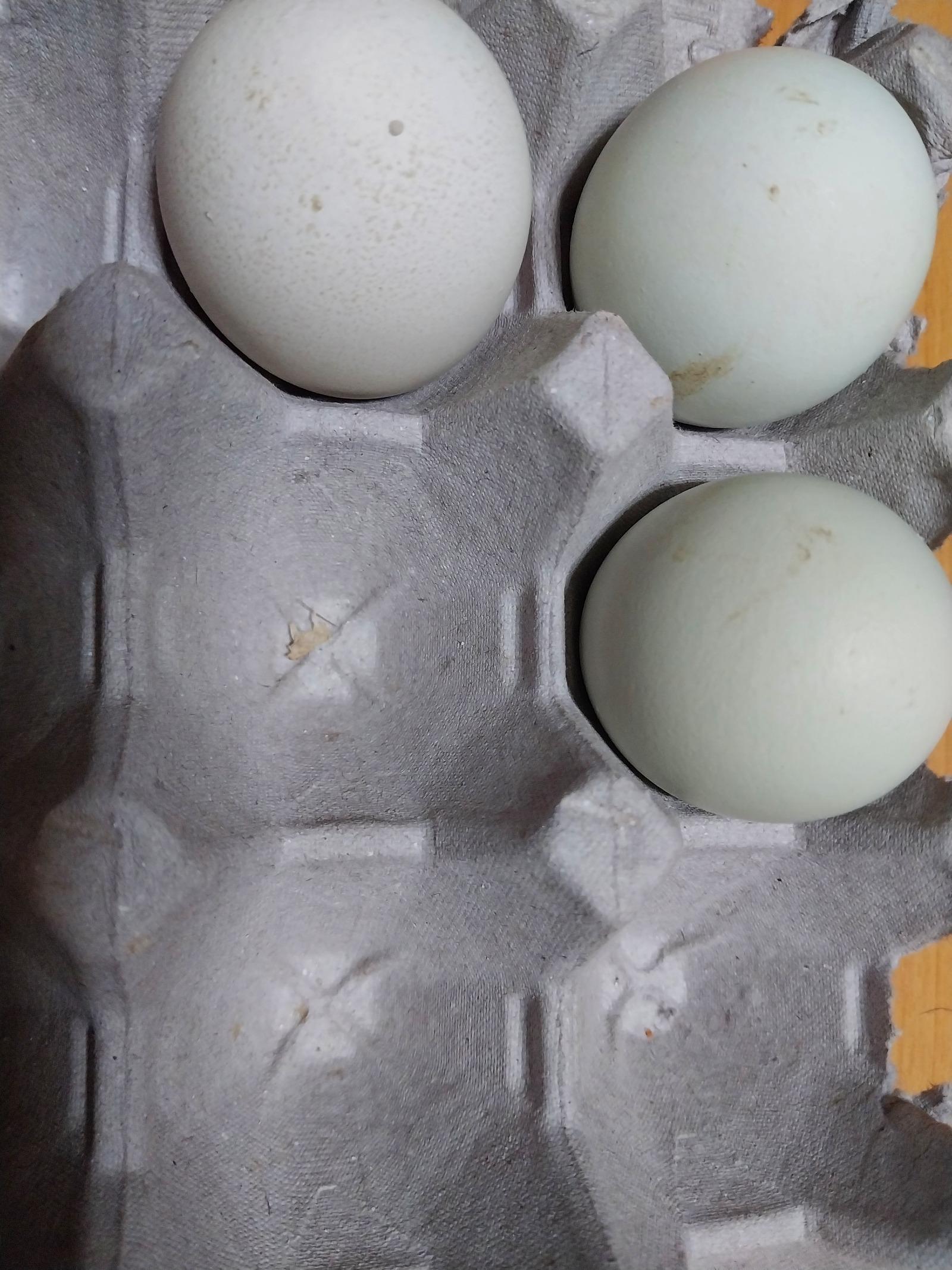 1000000665.jpg