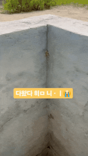1779715669.gif