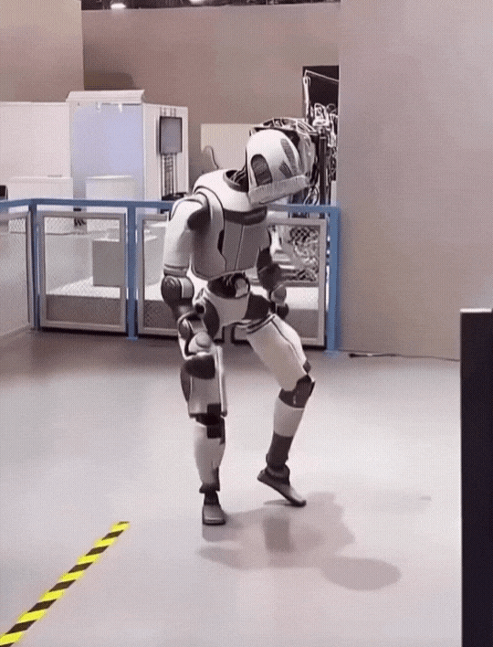 fly21773061018_1902716142.gif