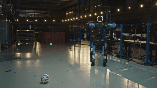 1780021742.gif