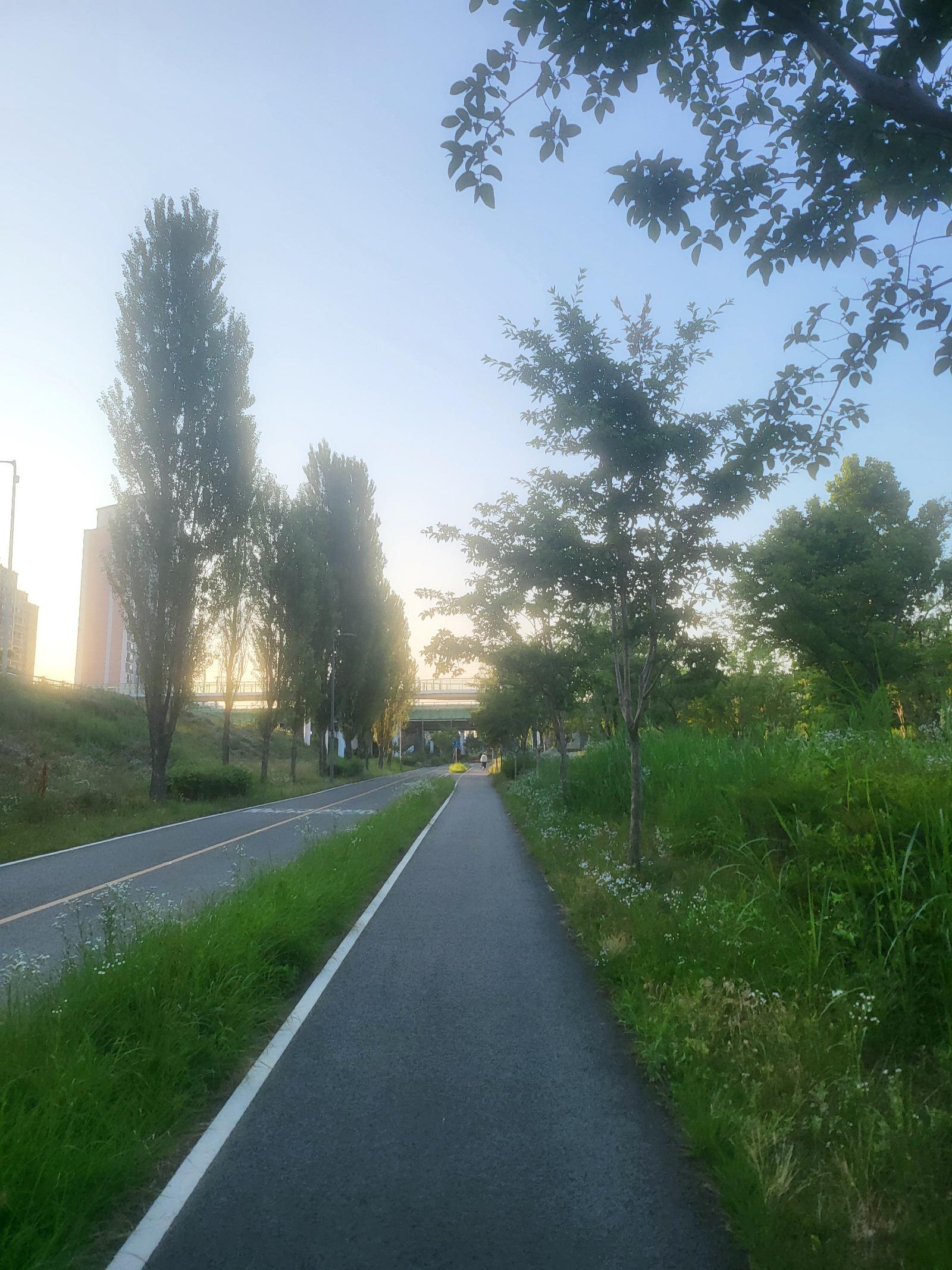 20260613_061844.jpg