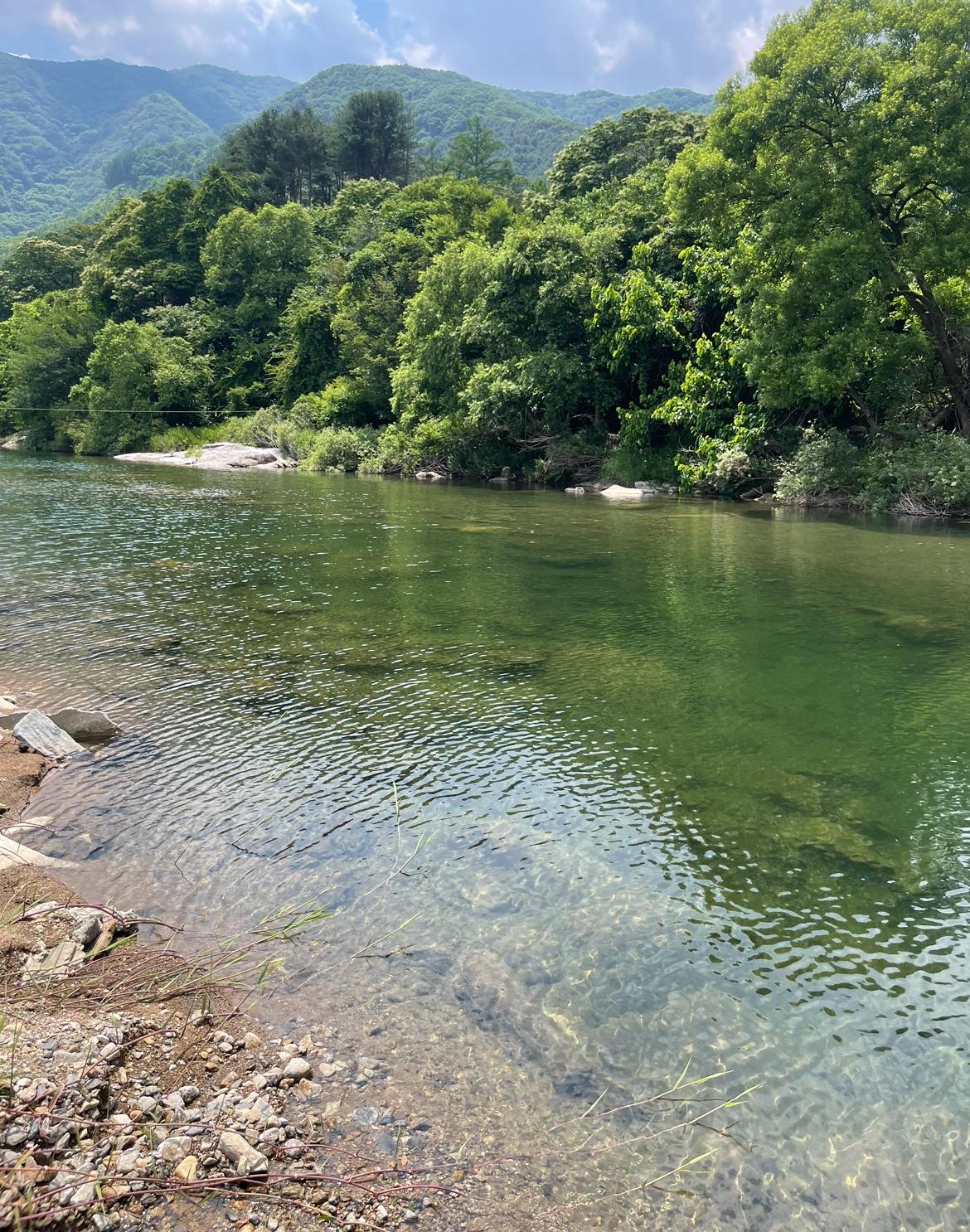 IMG_9721.jpeg