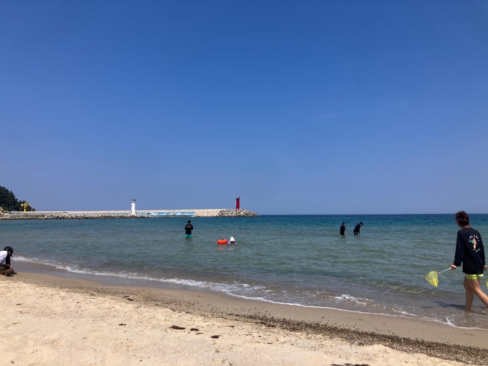 IMG_2667.jpeg