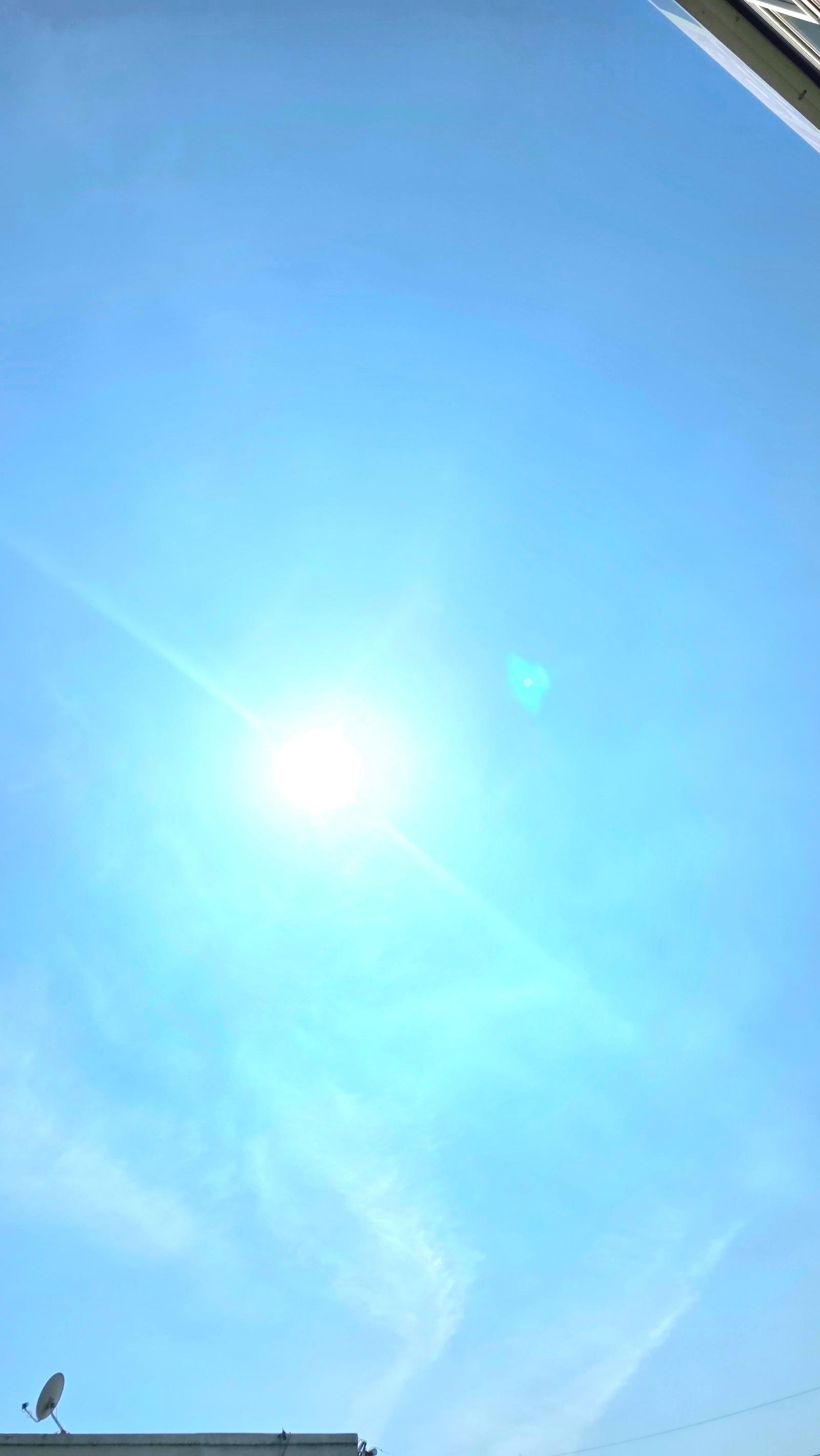 1000038763.jpg