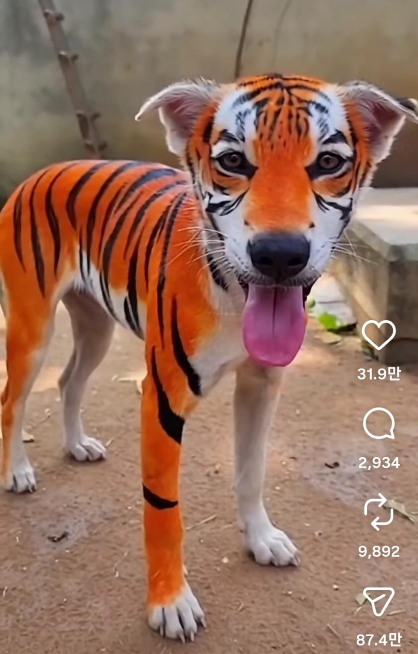 Screenshot_20260615_163747_Instagram.jpg