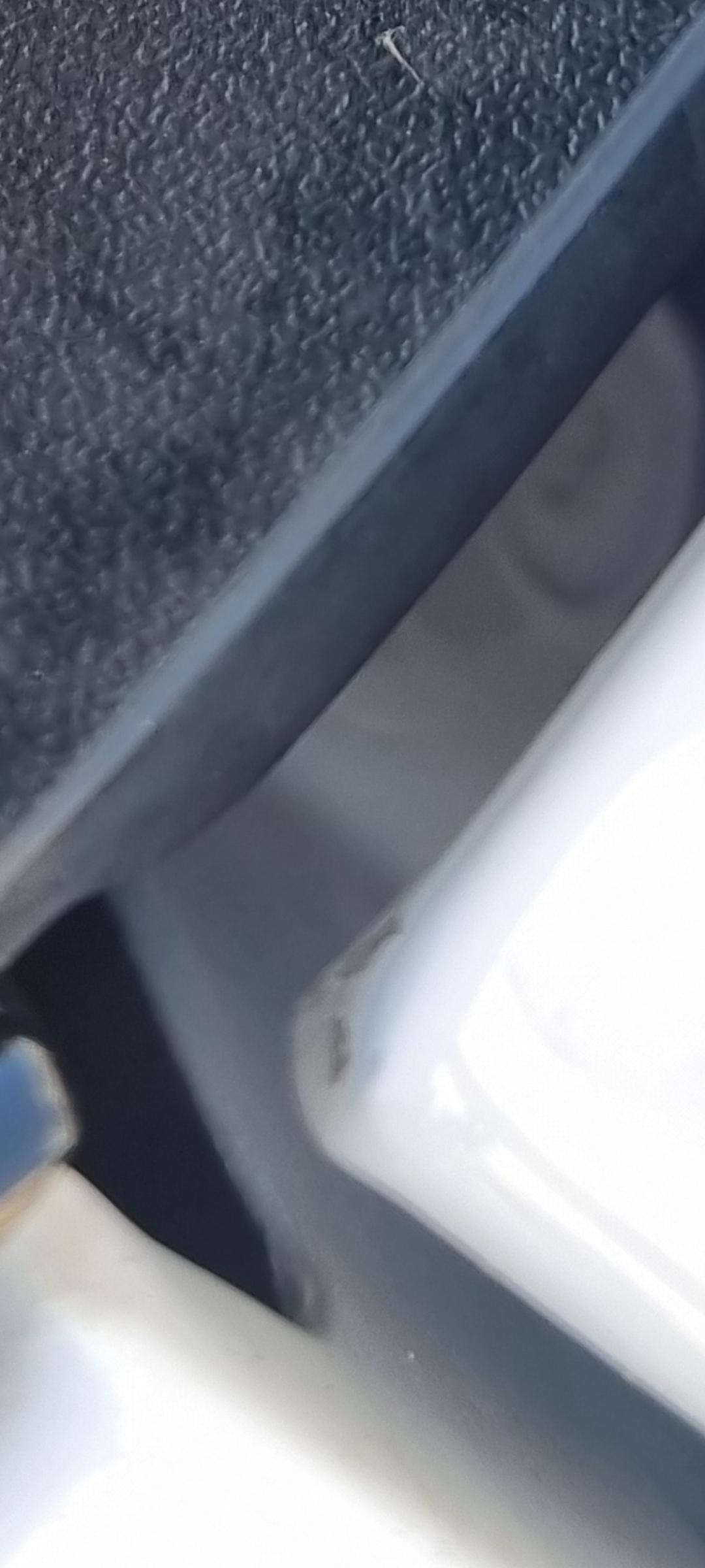 1000049697.jpg