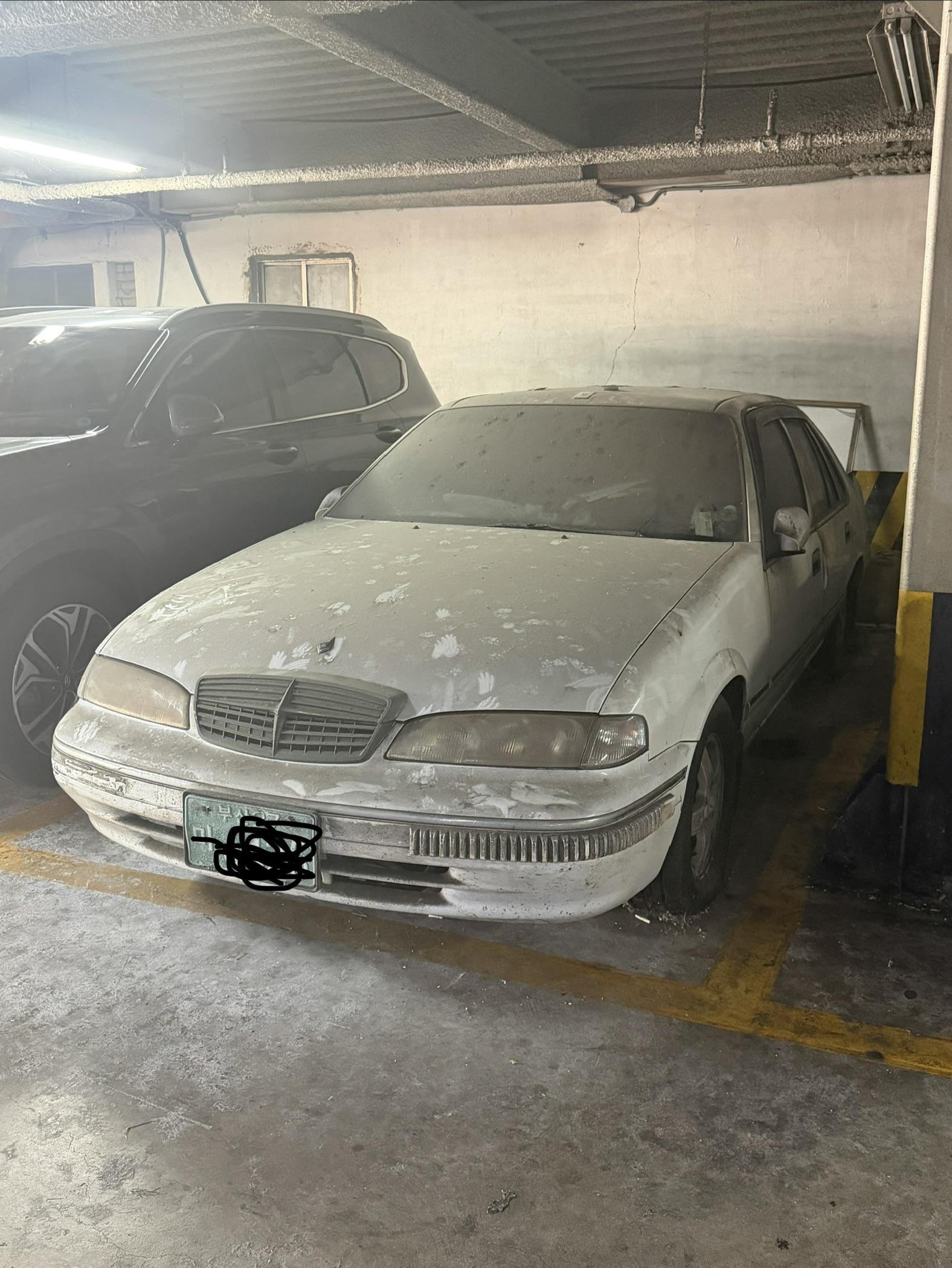 IMG_3215.jpeg