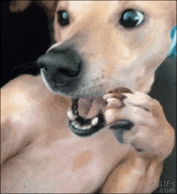 lele1716792252_1047460620.gif
