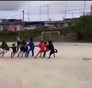 tlsg1750829865_799857640.gif
