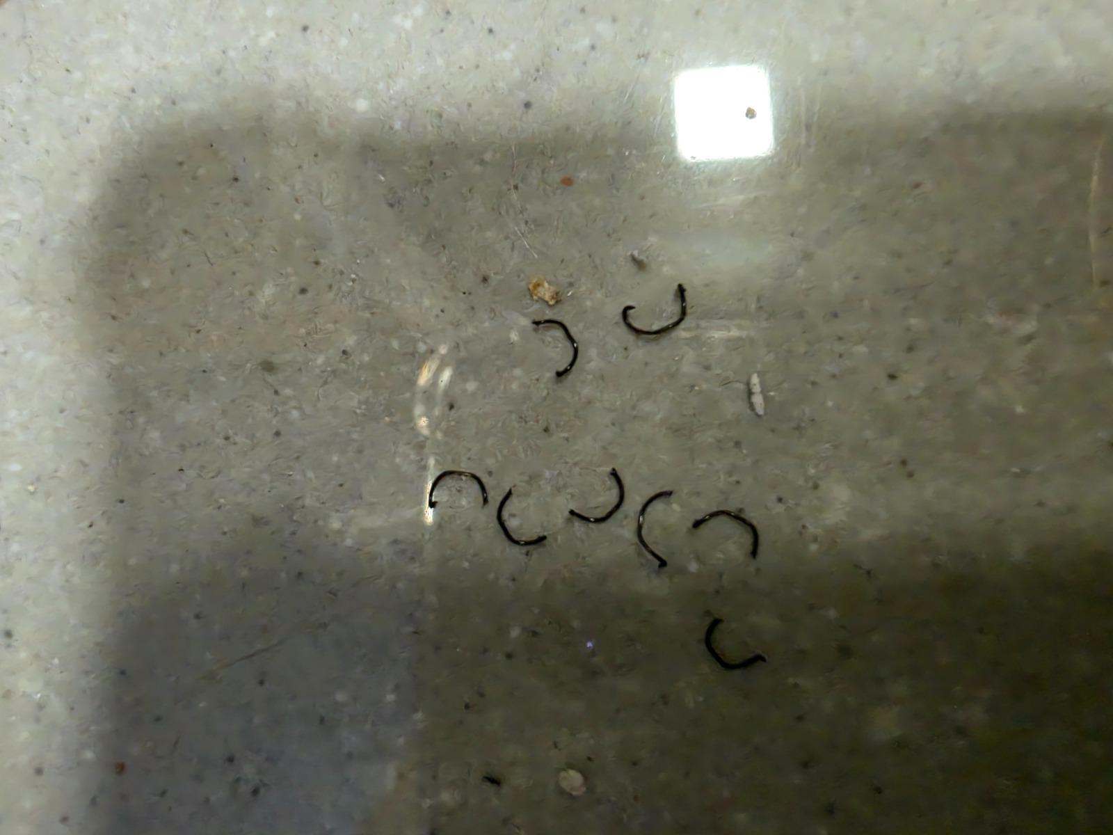 20260620_141644.jpg