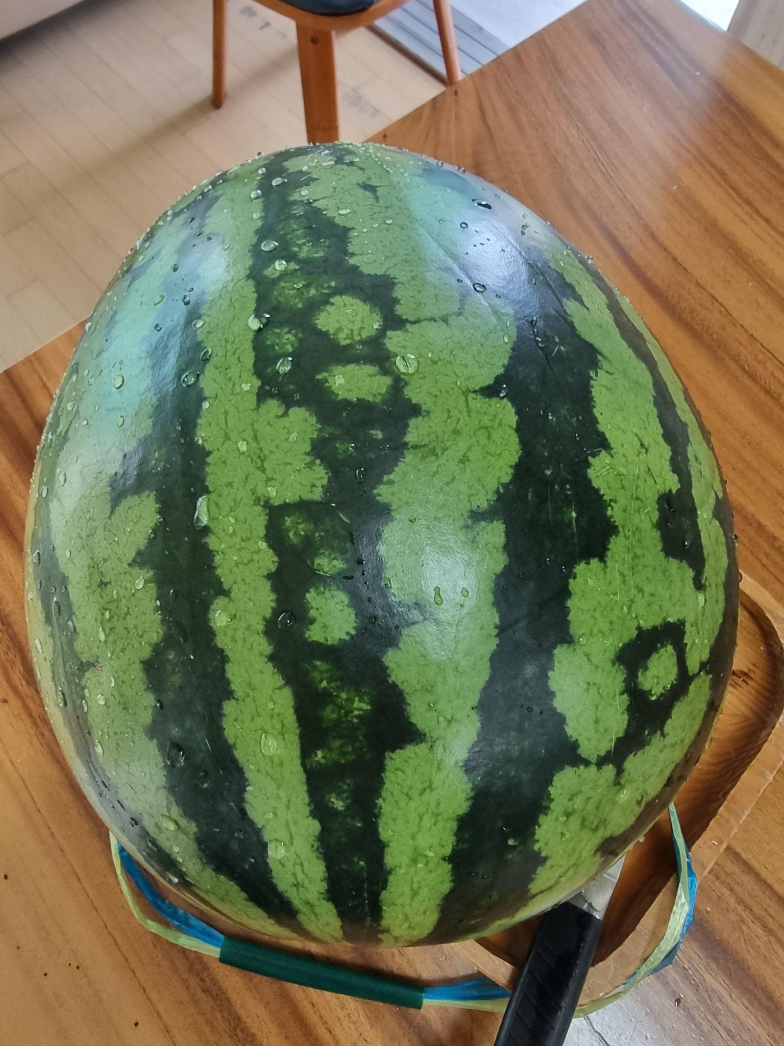 1000066149.jpg