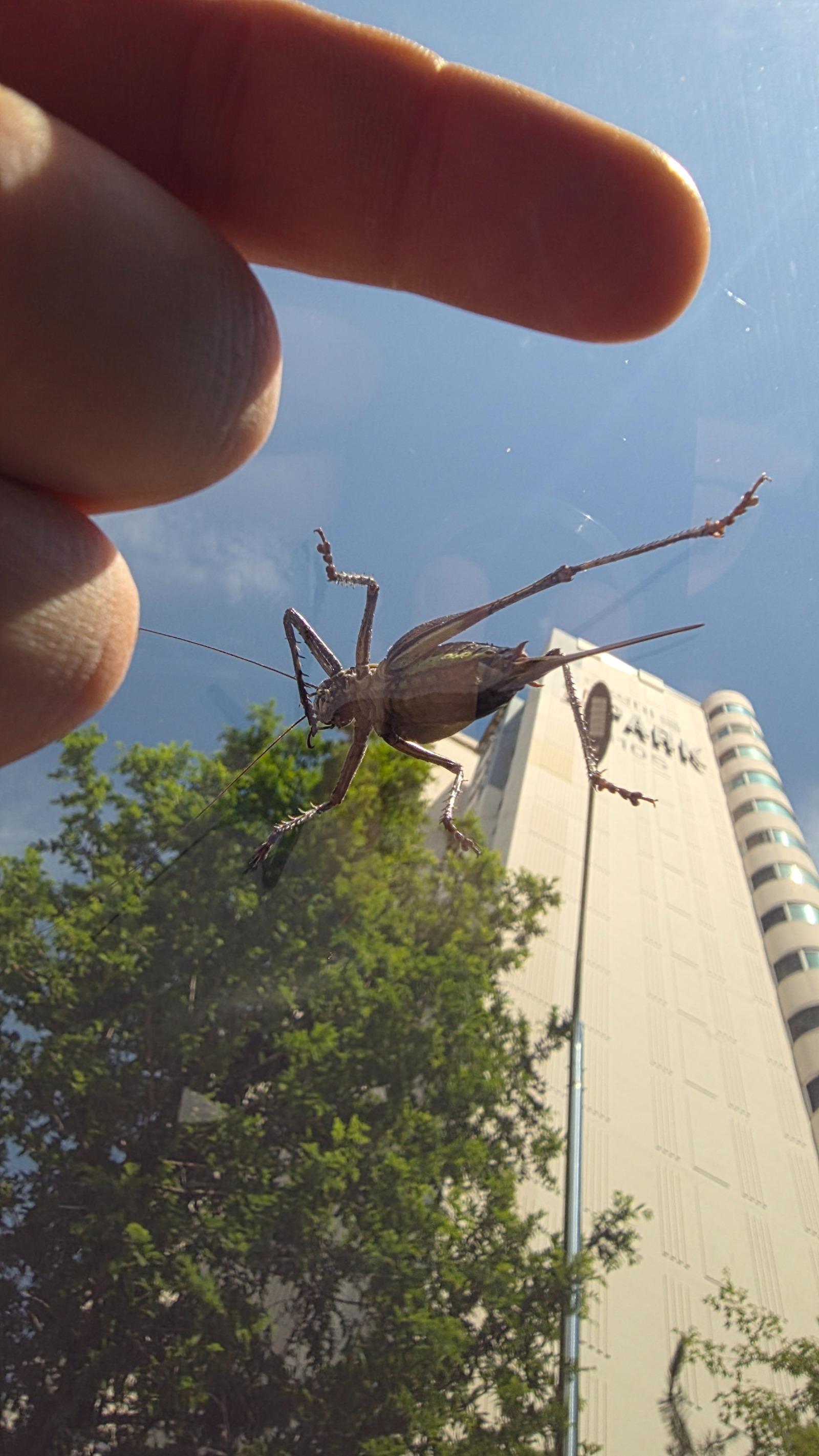 20260627_144259.jpg