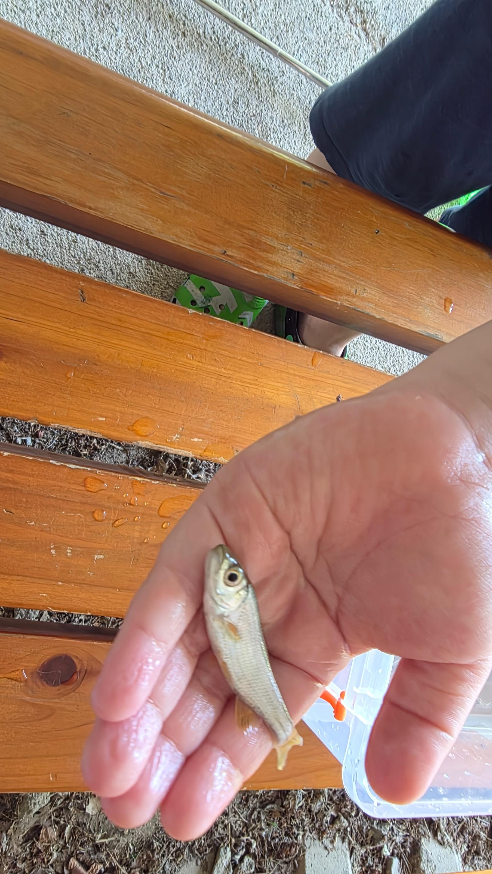 20260628_111603.jpg