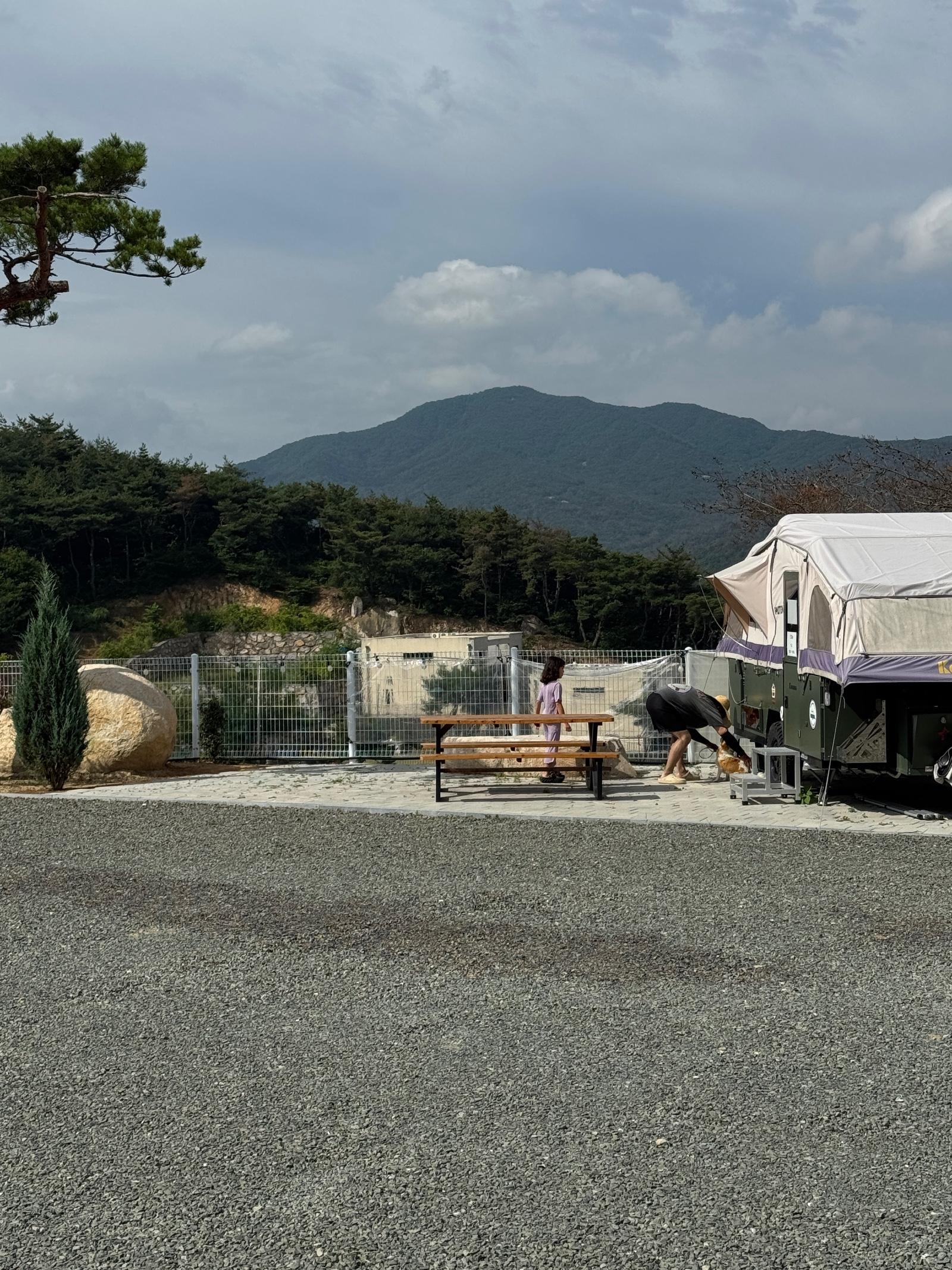 IMG_2205.jpeg