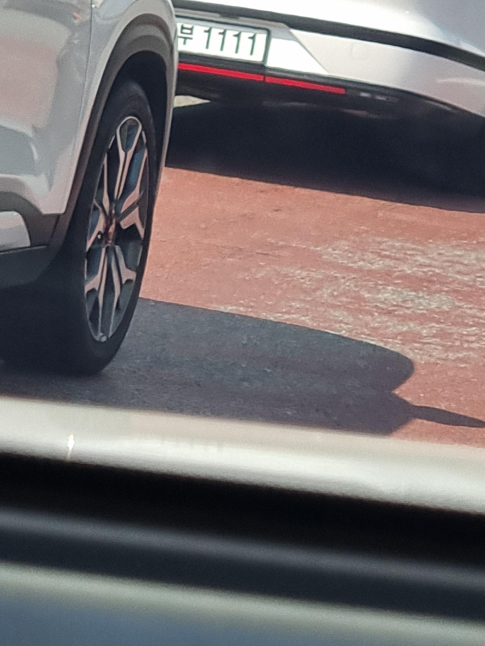 1000069105.jpg