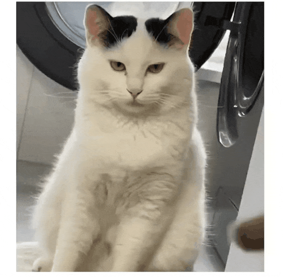 191929cf3240b31a496437c215da86c63390de23.gif