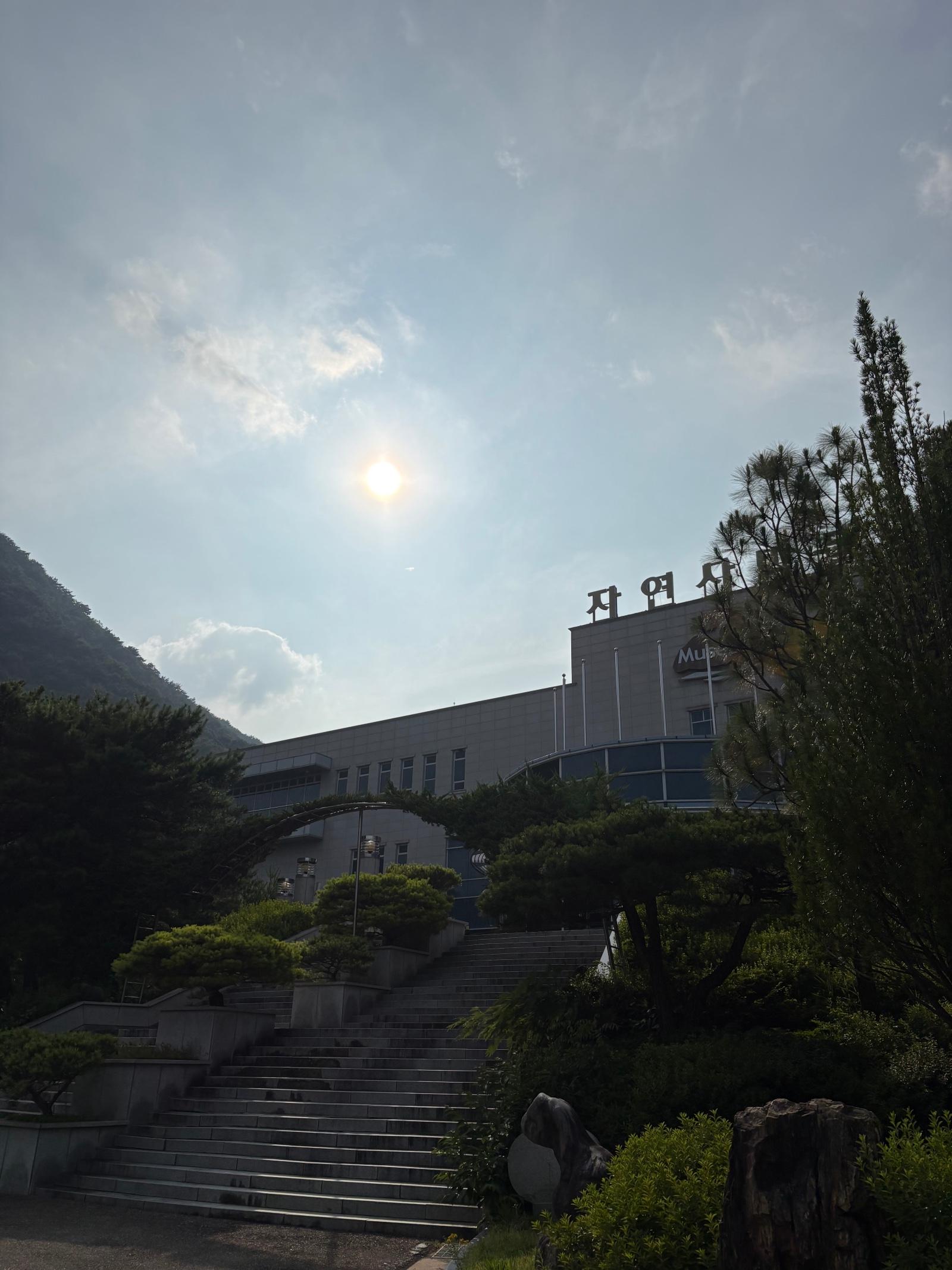 IMG_9905.jpeg