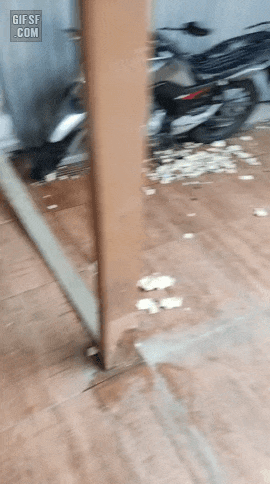 182ee8ffc22518635.gif