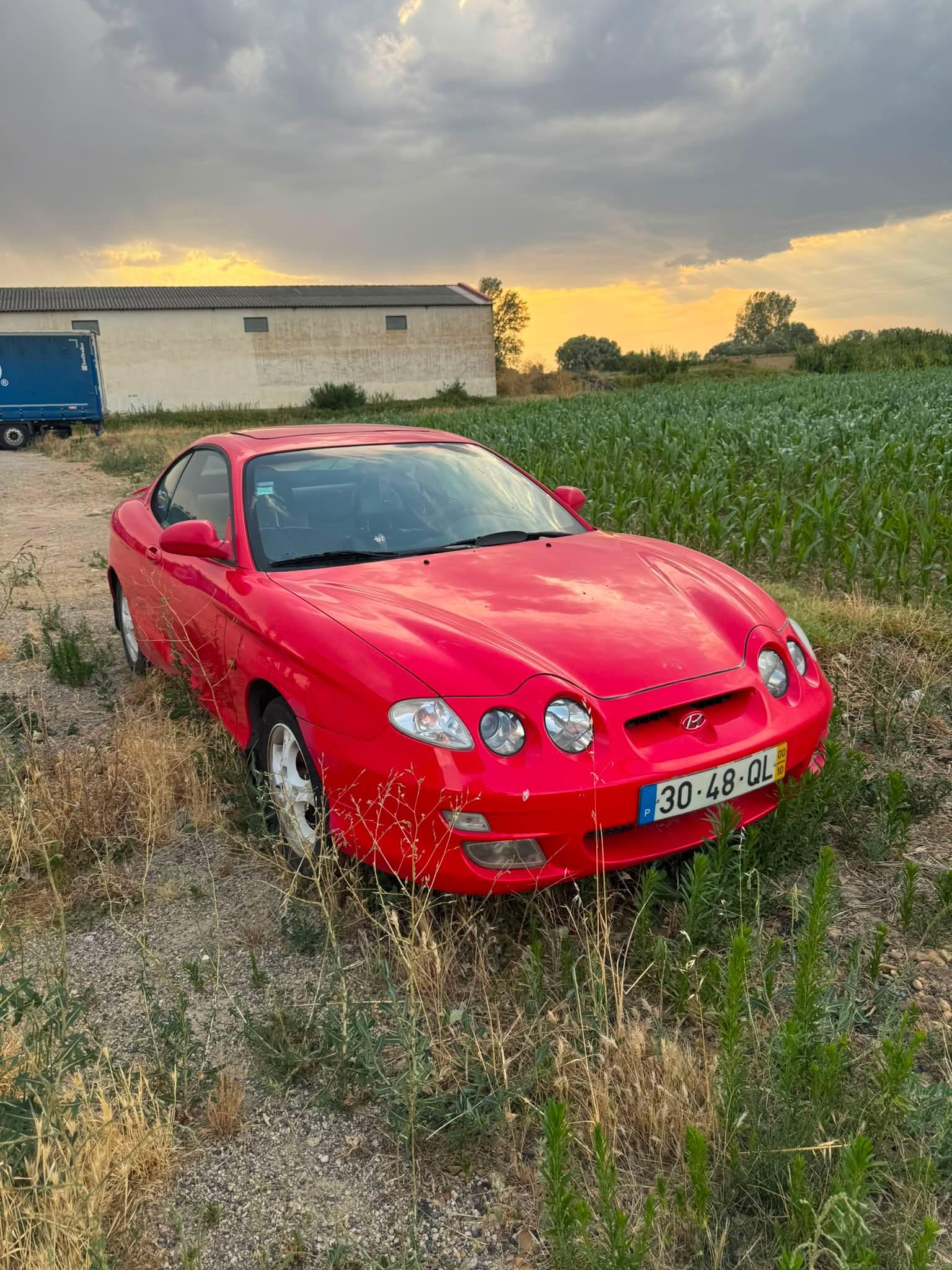 21577.jpg