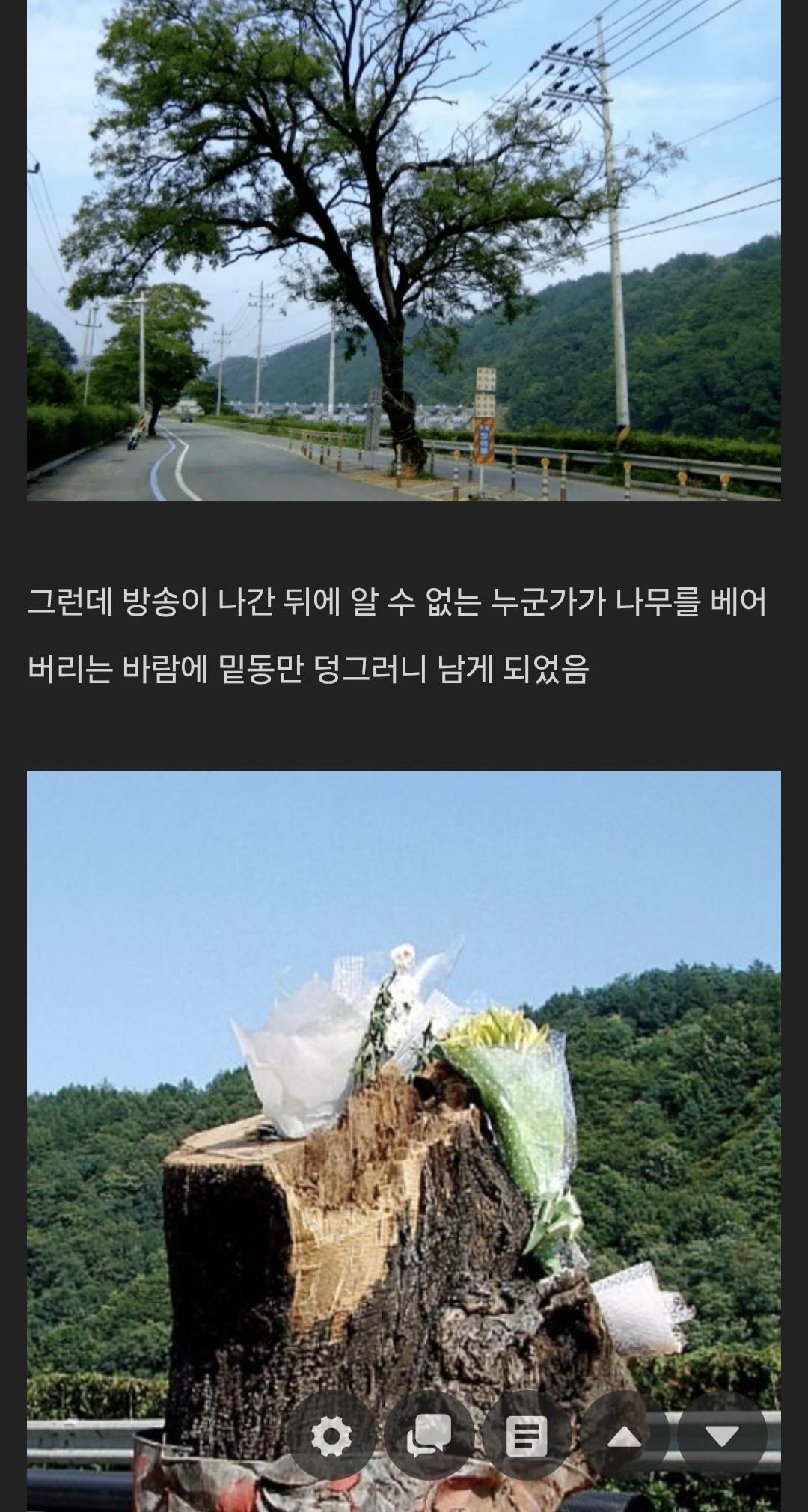 Screenshot_20260713_110627_Samsung Browser.jpg