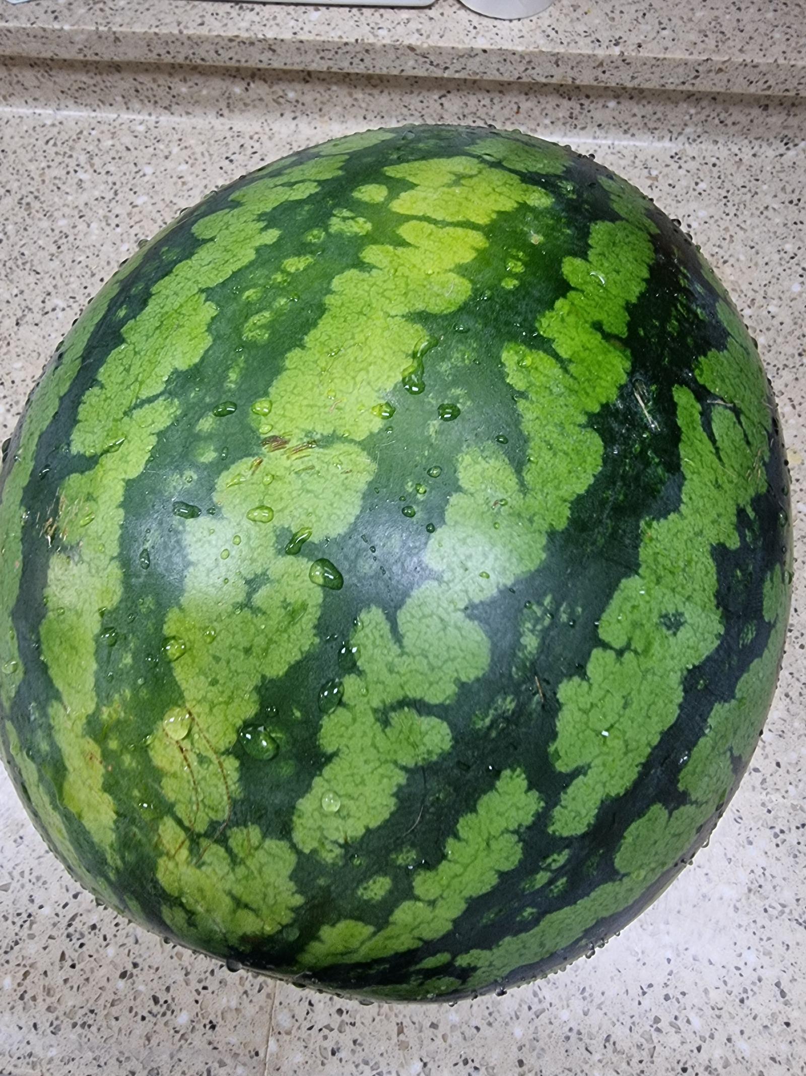 1000069956.jpg