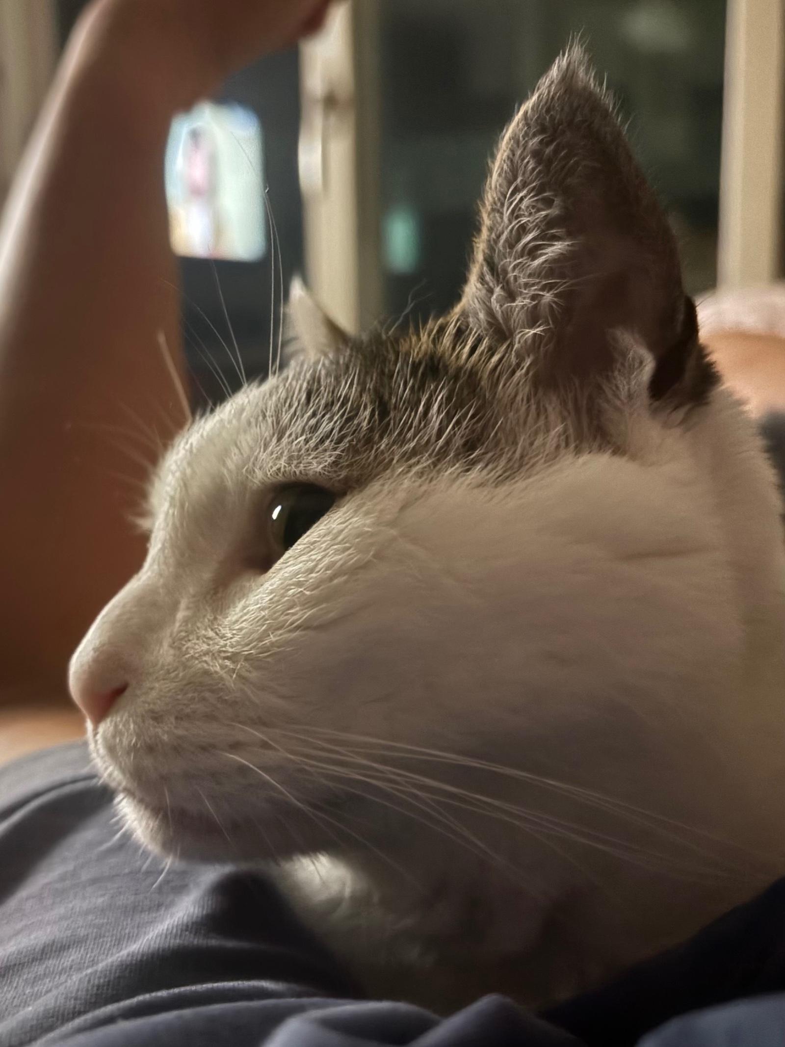 IMG_0201.jpeg
