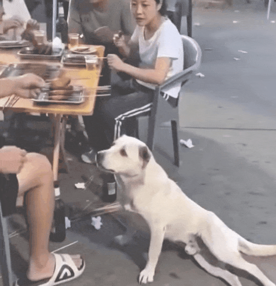 AQMT1783950708_773283360.gif