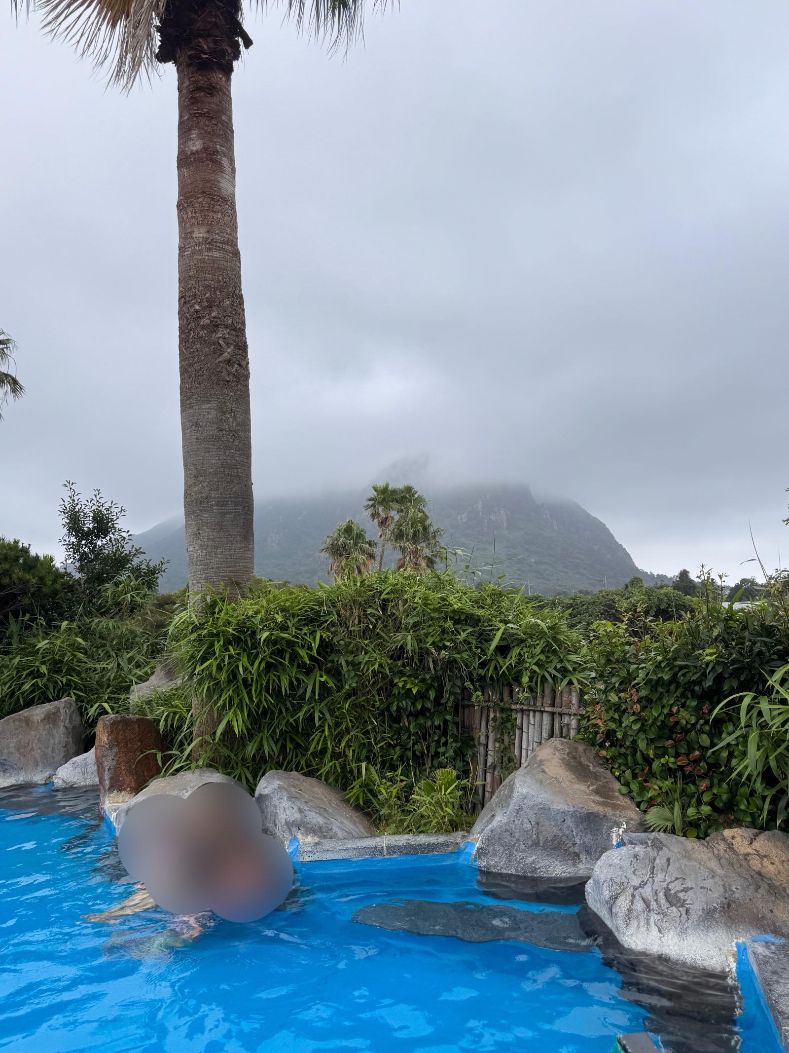 IMG_3252.jpeg