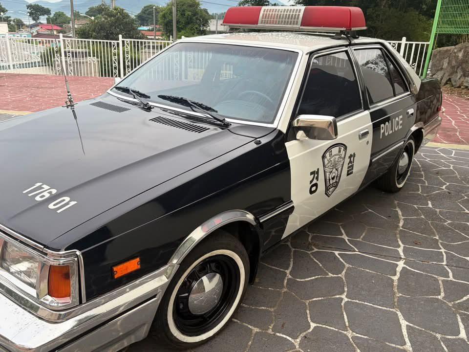 24549.jpg
