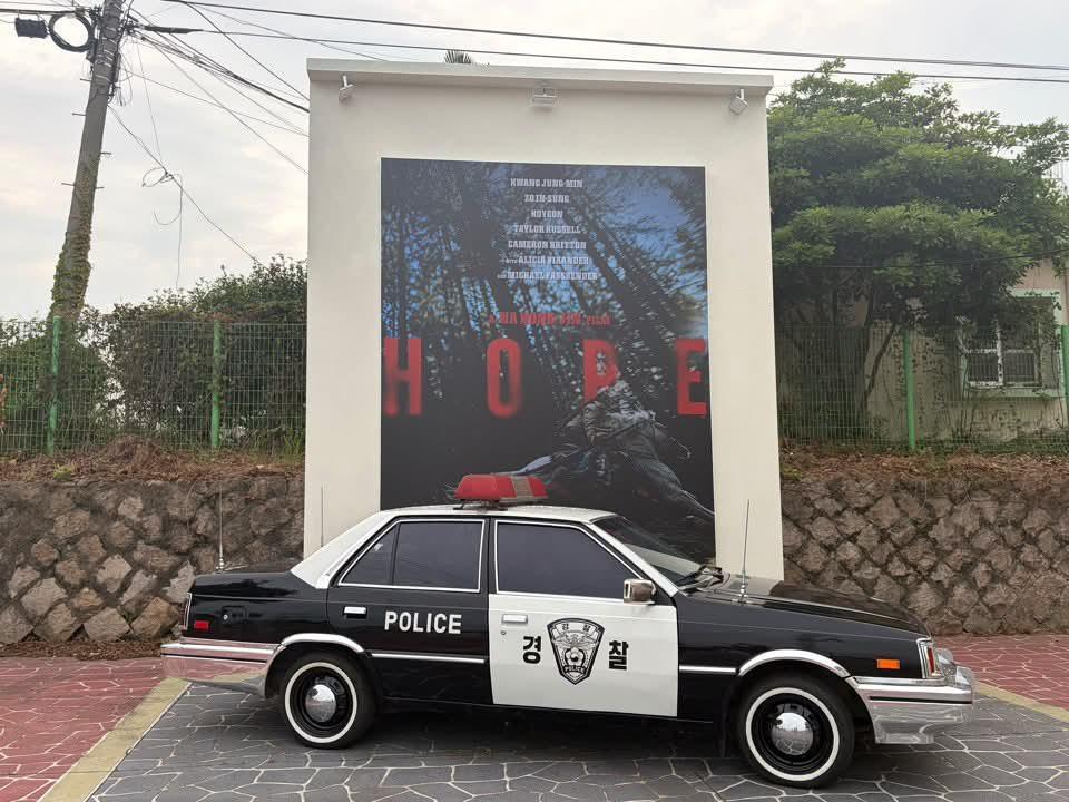 24545.jpg