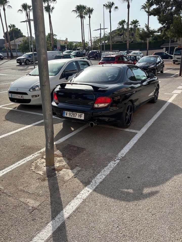 25485.jpg