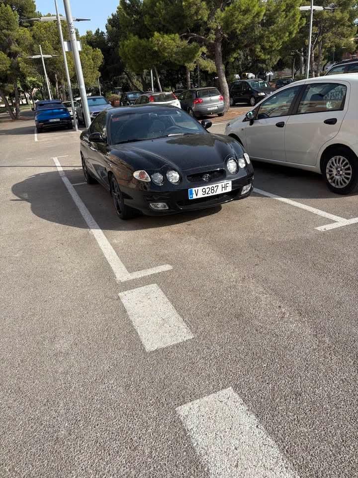 25486.jpg