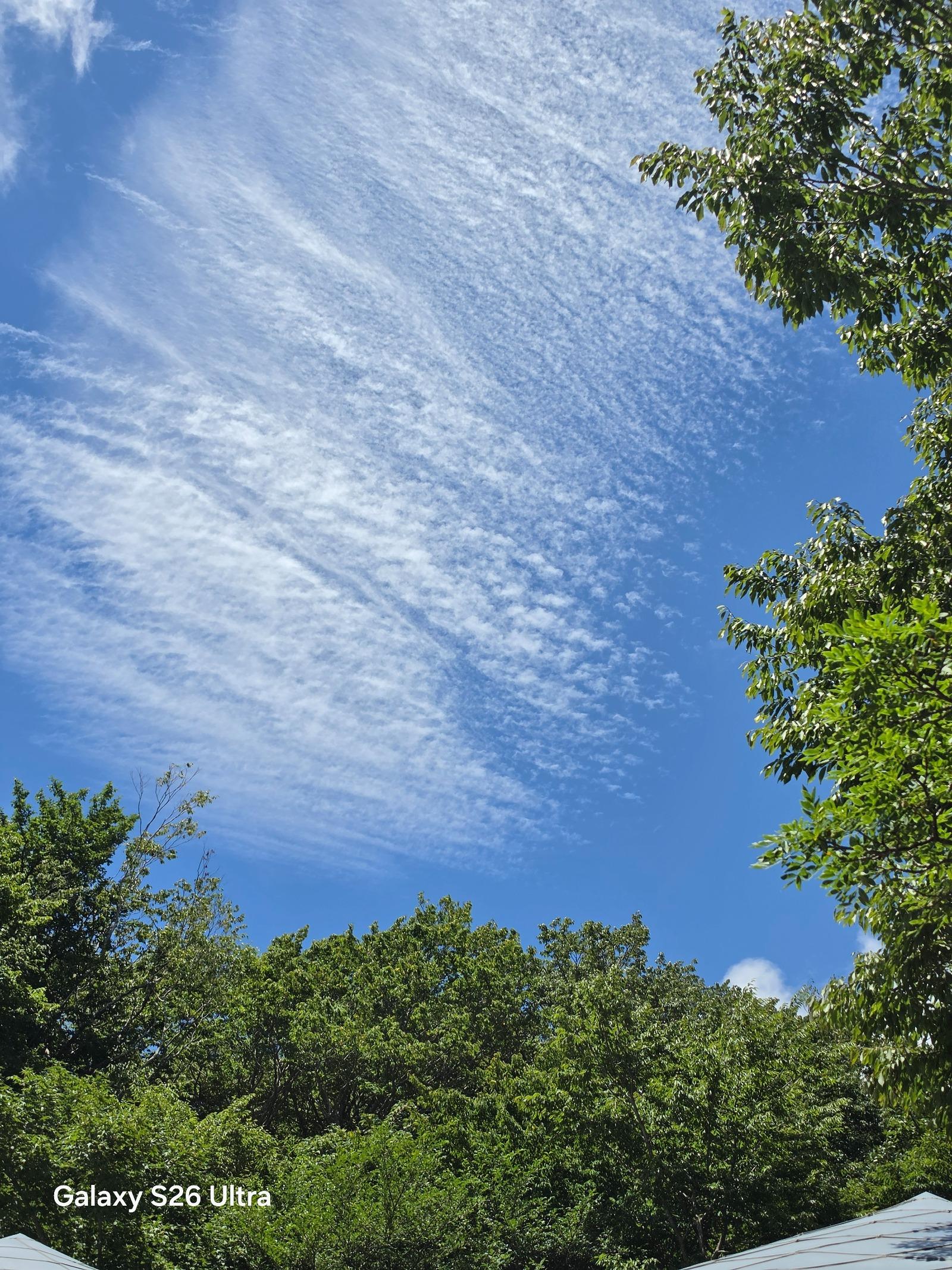 20260720_131551.jpg