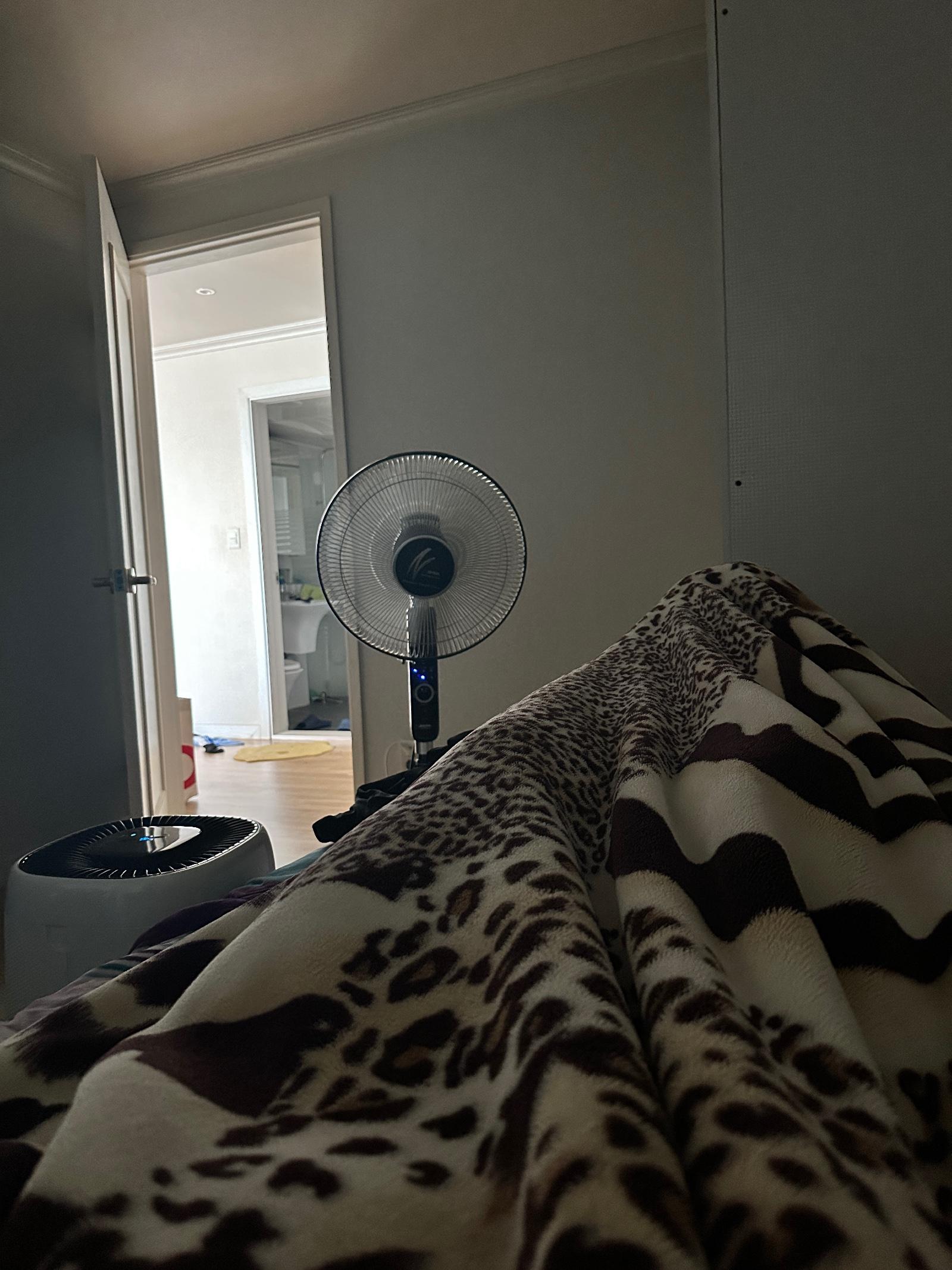 IMG_0921.jpeg