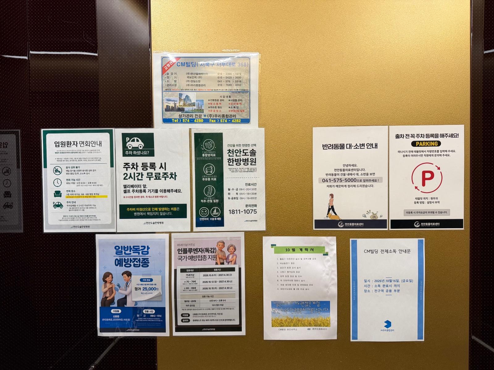 IMG_2173.jpeg