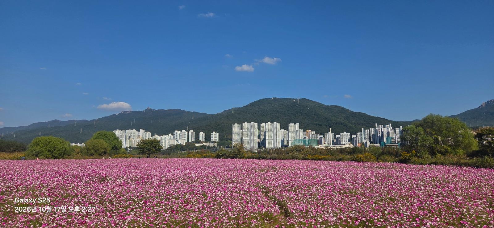 31657.jpg