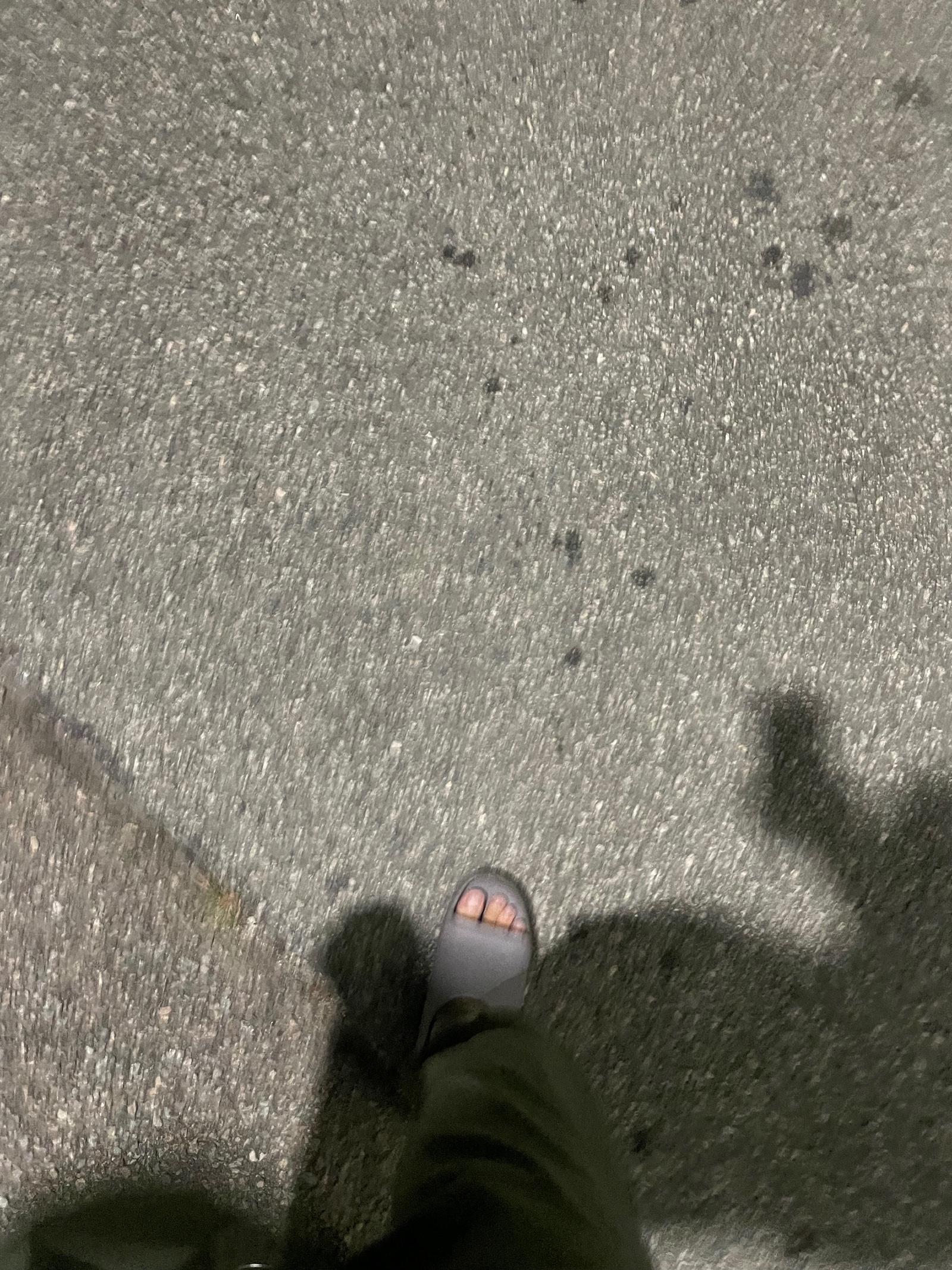IMG_3324.jpeg