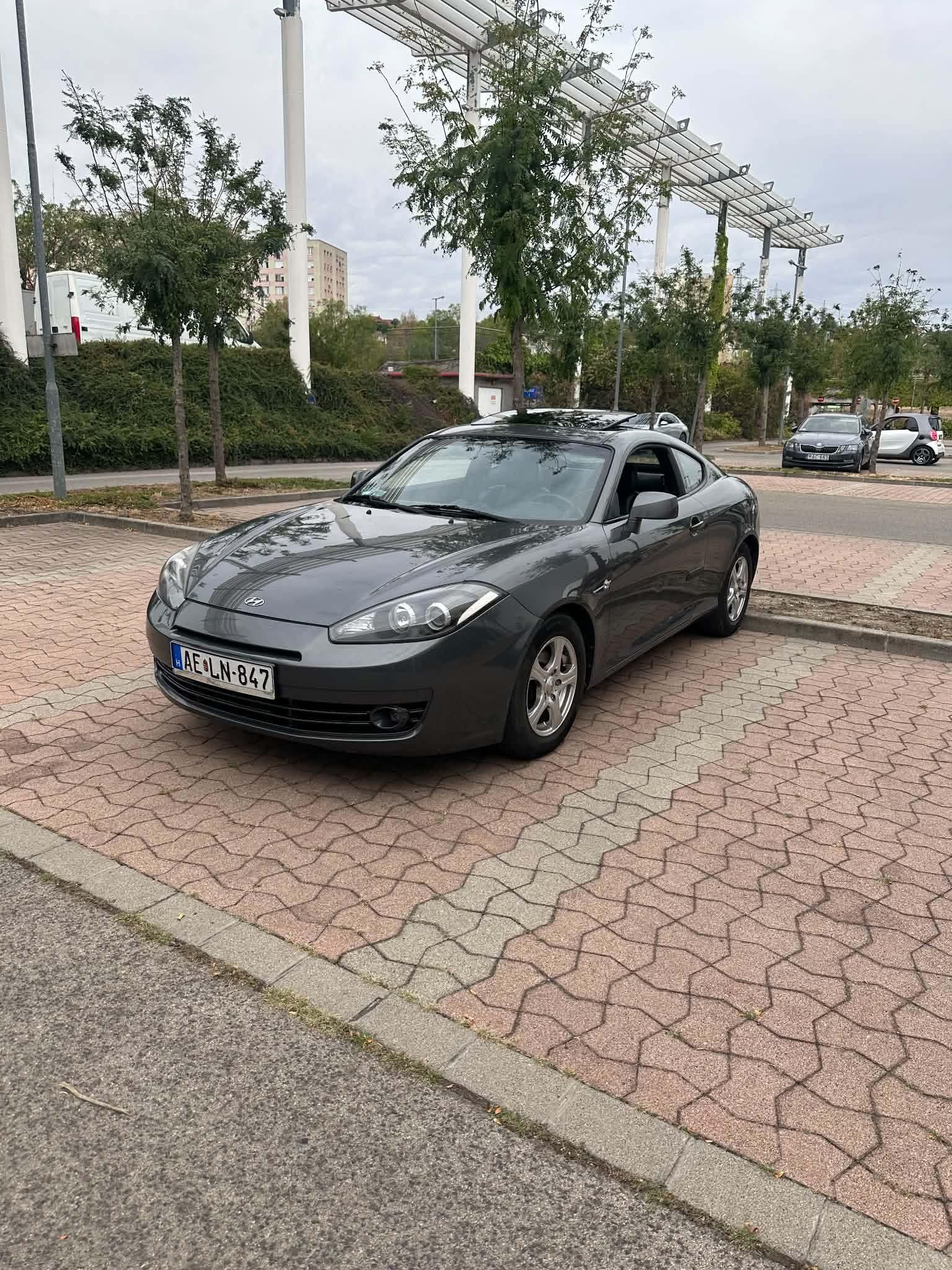 80653.jpg