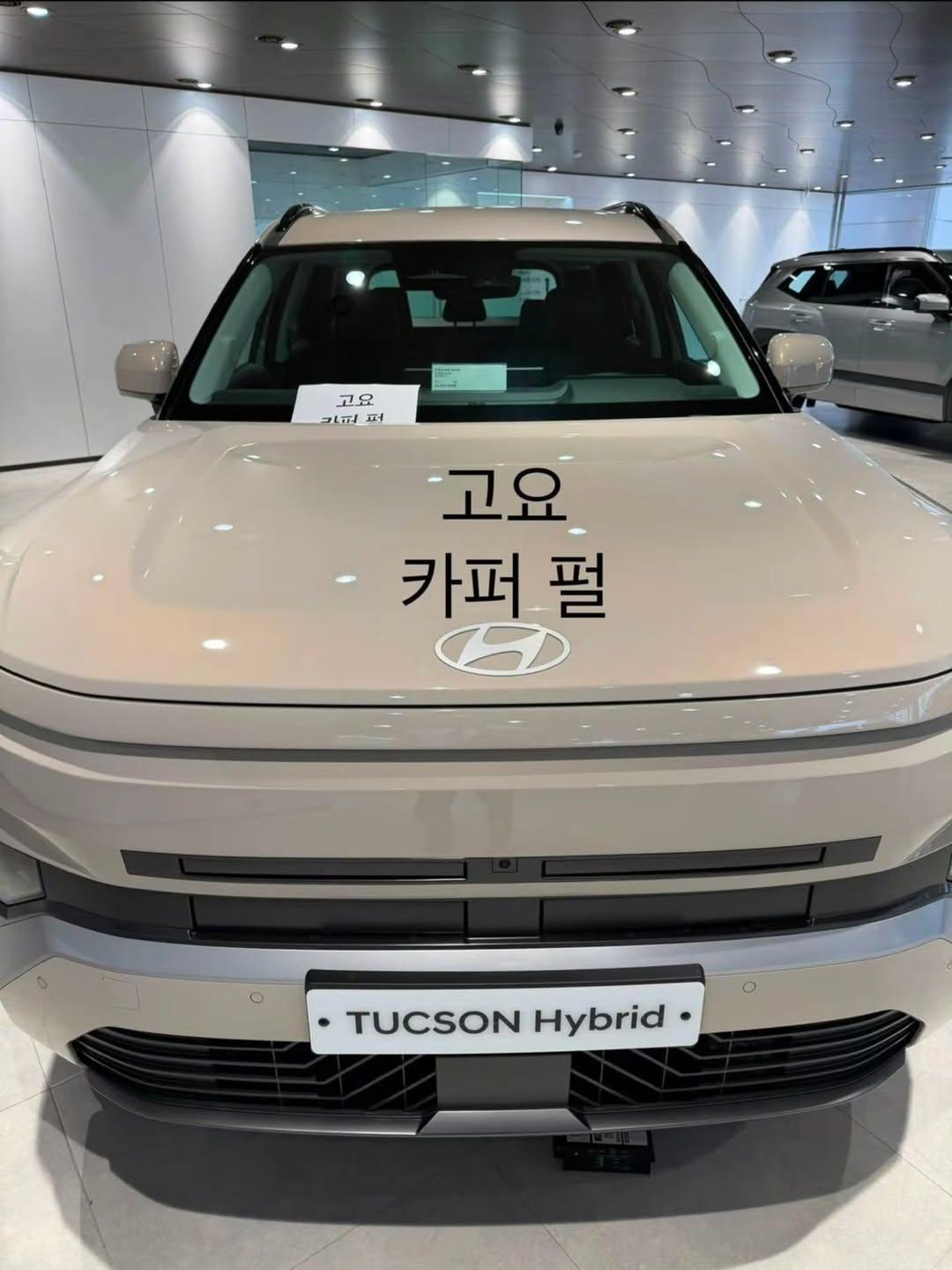 84162.jpg