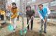 한국토요타, '하이브리드 숲' 프로젝트 참여