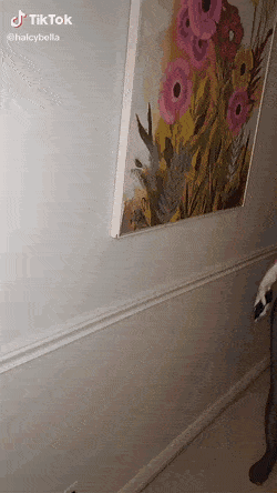 1000040432.gif