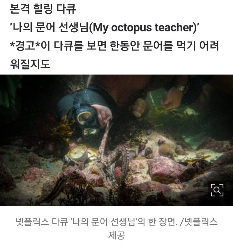 Screenshot_20210223-144619_NAVER.jpg