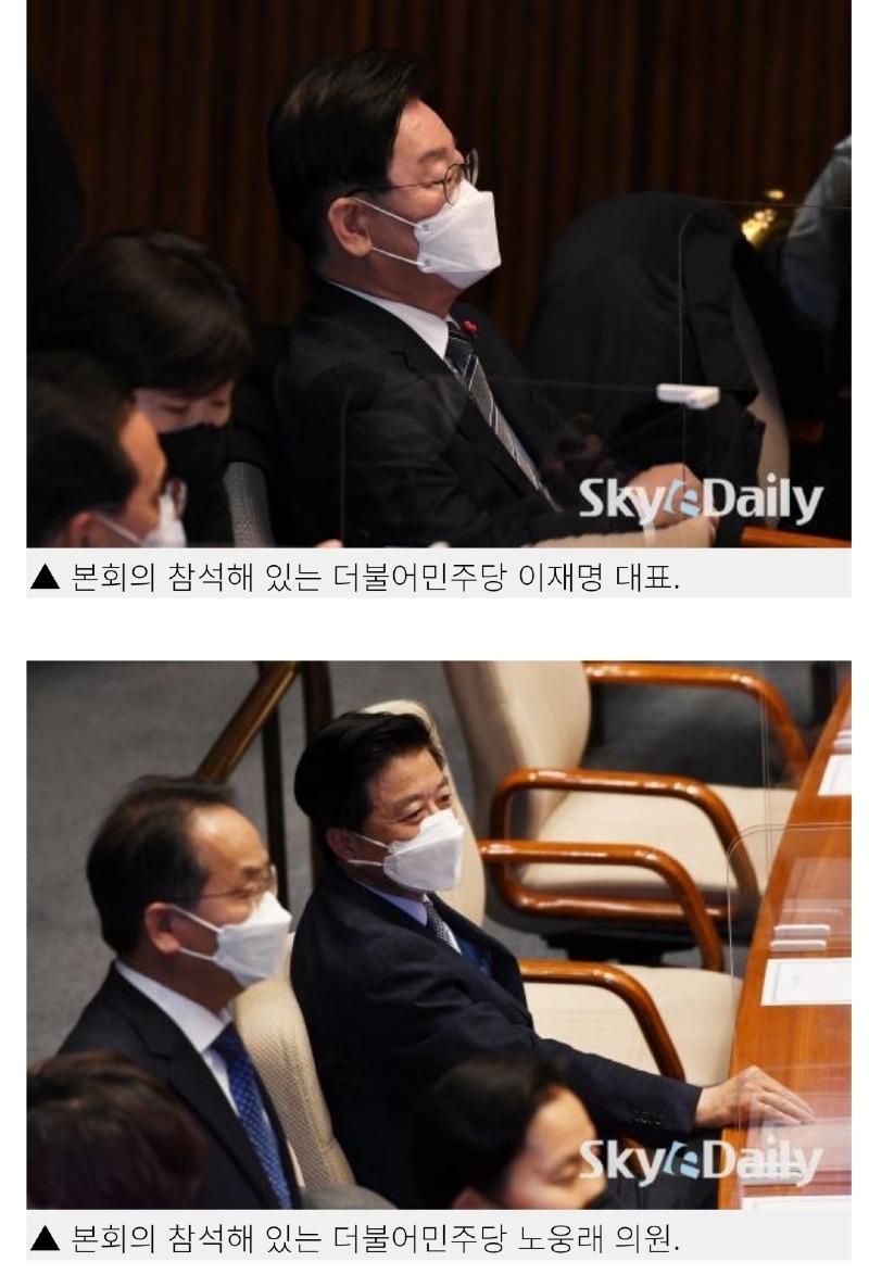 더브러 이미지