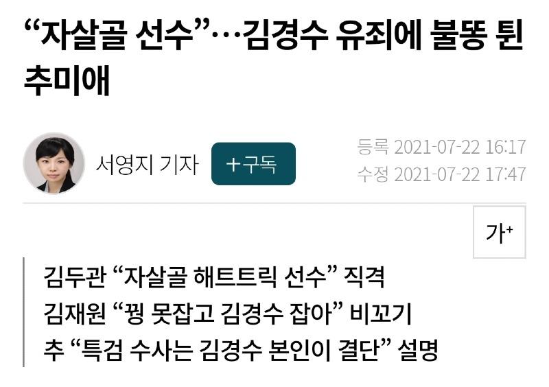 더브러 이미지