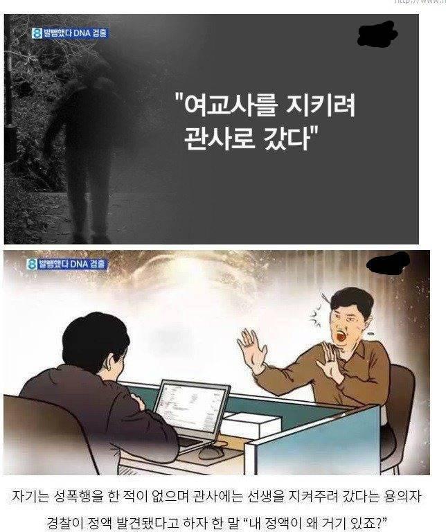 풀숲 이미지