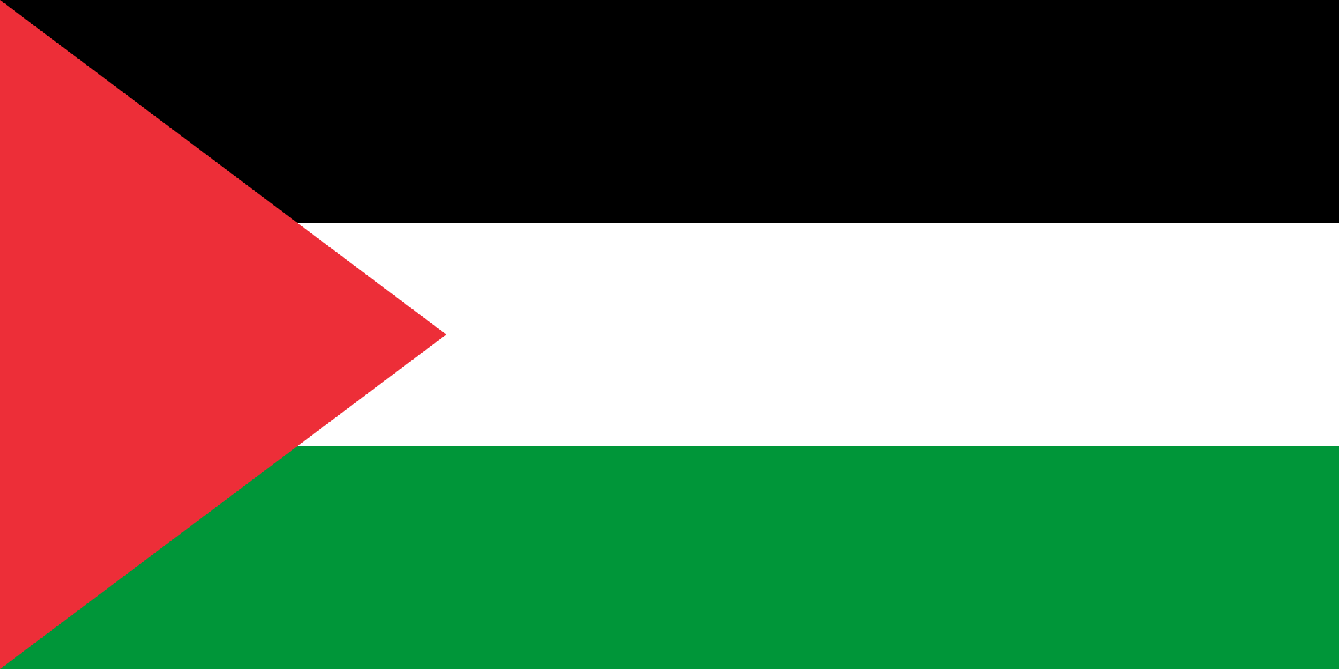 Flag_of_Palestine.png