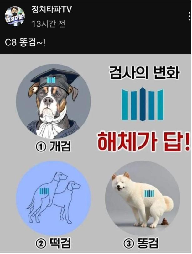 개검 .jpg