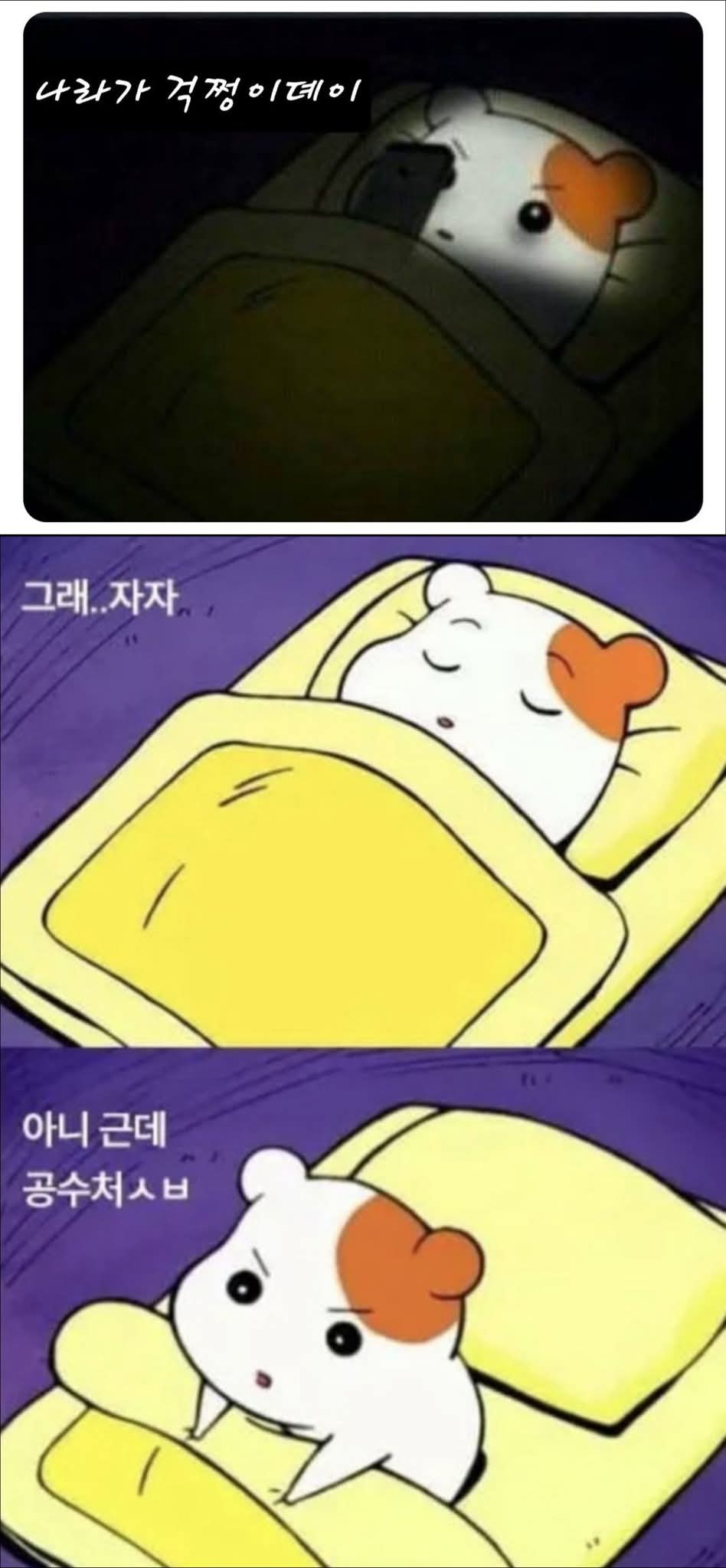 잠못자는 밤 | 보배드림 정치게시판