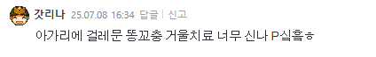 잣리나 02.png